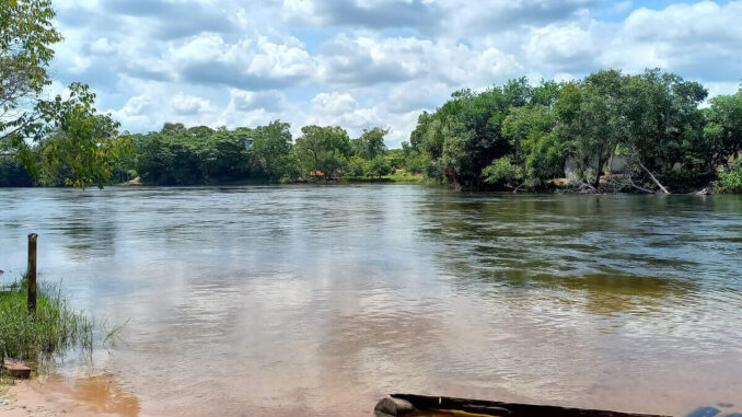 rios-do-cerrado Vazão de rios do Cerrado, Formosa do Rio Preto, Bahia, Cerrado: O Elo Sagrado das Águas do Brasil