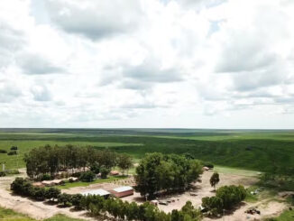 Venda da Fazenda Preferência por R$ 141,4 milhões em Baianópolis, no Oeste da Bahia, BrasilAgro