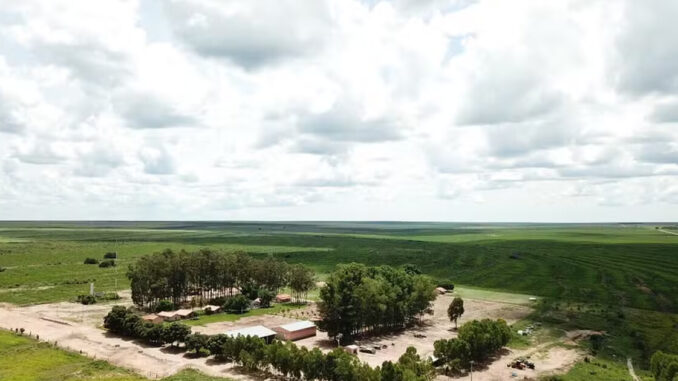 fazenda-preferencia-baianopolis-bahia Venda da Fazenda Preferência por R$ 141,4 milhões em Baianópolis, no Oeste da Bahia, BrasilAgro