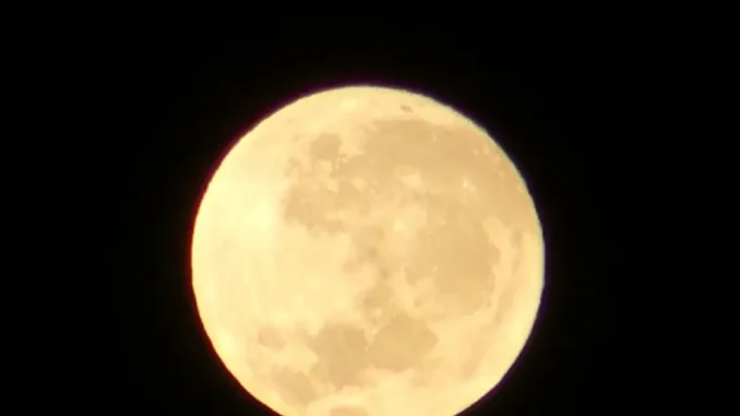 Lua cheia do veado