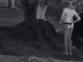 Novo vídeo mostra bispo Eduardo Costa de peruca loira dias antes de flagrante em Goiânia