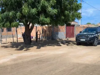 pai mata filho em Barra Bahia, Bahia