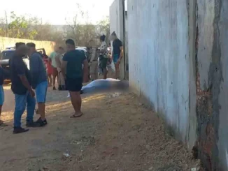 Três pessoas mortas em Barreiras, Bahia, durante tiroteio; triplo homicídio em Barreiras