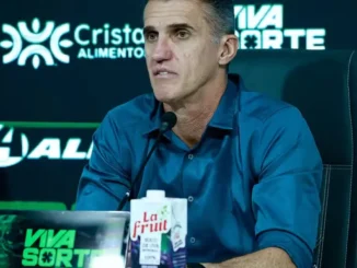 Vagner Mancine
