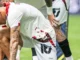 Grêmio e Vitória