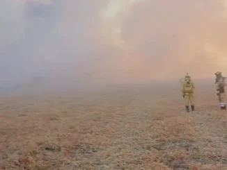 Incêndio atinge fazenda na região da Coaceral em Formosa do Rio Preto, Bahia, incêndios florestais Formosa do Rio Preto, Bahia