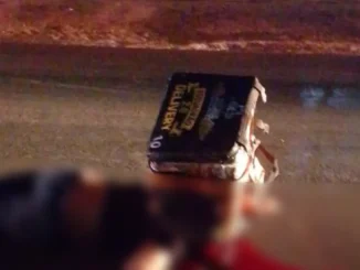 acidente de motociclista com animal na BR-242 em Barreiras, Bahia