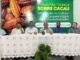 Palestra técnica no Sindicato dos Trabalhadores Rurais de Formosa do Rio Preto, Bahia, sobre a cultura do Cacau
