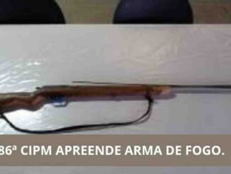 Apreensão de arma em Santa Rita de Cássia, na Bahia, Polícia Militar da Bahia