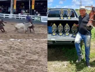 Vaqueiro Xavier Mãozinha morre durante vaquejada de Surubim, em Pernambuco