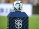 Vitória x Fluminense pelo Brasileirão: veja onde assistir Vitória e Fluminense, prováveis escalações e horário do jogo no Barradão