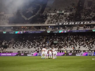 Botafogo e Bahia, jogo do Bahia, resultado do jogo do Bahia,