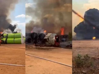 Incêndio atinge algodoeira em Luís Eduardo Magalhães nesta quinta