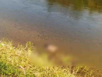 Corpo é encontrado boiando no Rio Grande em Barreiras, Bahia
