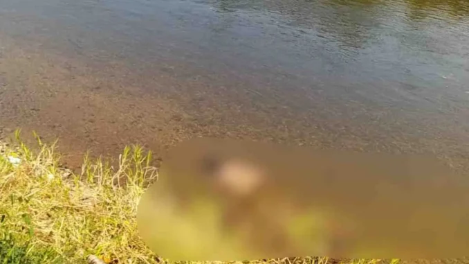 Corpo é encontrado boiando no Rio Grande em Barreiras, Bahia