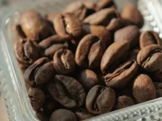 Saiba quanto custa a xícara de café mais cara do mundo