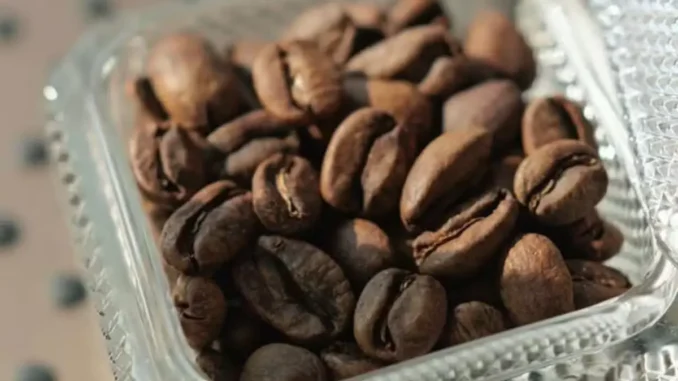 Saiba quanto custa a xícara de café mais cara do mundo