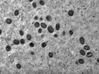 mpox no brasil em 2026