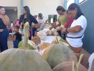 Feira do Ouro em Formosa do Rio Preto, no Oeste da Bahia