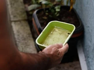 santa maria da vitória epidemia de dengue
