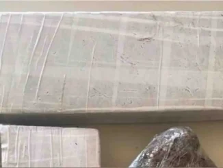Polícia intercepta van na BR-135 e apreende 1,3 kg de maconha em Formosa do Rio Preto