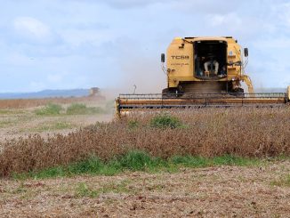 Produção agrícola no oeste da Bahia: colheita de soja
