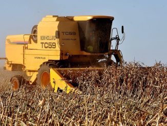 Colheitadeira em lavoura de milho, grão que alimenta a produção de etanol no oeste da Bahia
