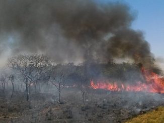 Fumaça de queimada no cerrado durante a estiagem, imagem ilustrativa das queimadas no oeste da Bahia
