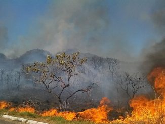Temperatura máxima no oeste da Bahia: fumaça e calor no cerrado durante período de estiagem
